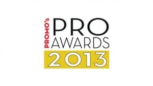 2013ProAwardsNew595