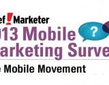 Chief Marketer Mobile Marketing Survey