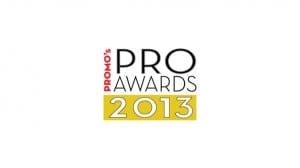 2013 PRO Awards