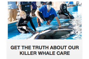 SeaWorld Killer Whales