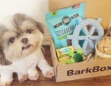 Influencer Marketing Bark box