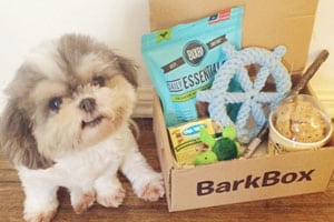 Influencer Marketing Bark box
