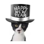 cat-new-year-300