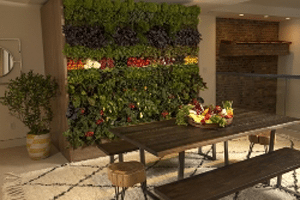 Chobani Meze House