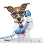 dog on the phone