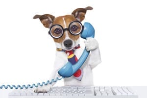 phone calls dog