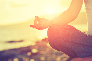 Wellness Amplified
