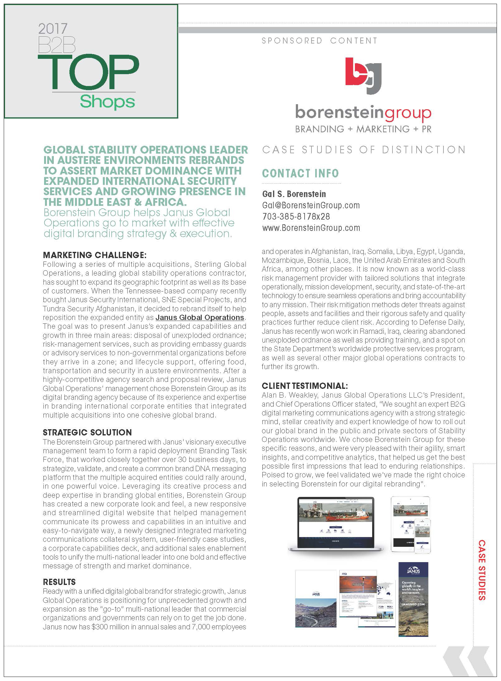 Borenstein Group, Inc Case Study