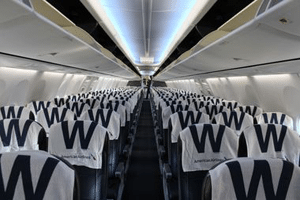 American Airlines and Chicago Cubs