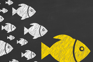 influencer marketing