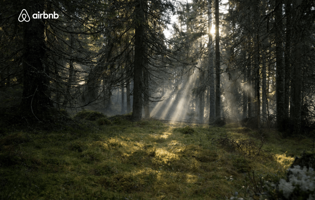 AirbnbandSweden Chief Marketer