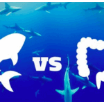nonprofit shark