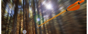 target-arrow-woods-850