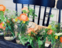 HGTV chatbot
