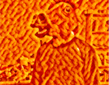 Cheetos Vision