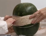 videos watermelon