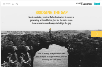 Bridging The Gap Turtl Special Report Cover