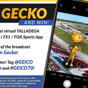 GEICO/NASCAR Social Promotions