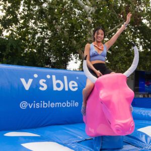 Wild Bull Ride