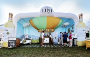 Flight of Fini