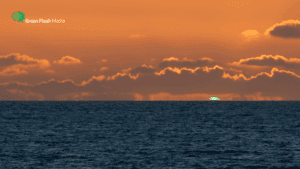 Green Flash Media