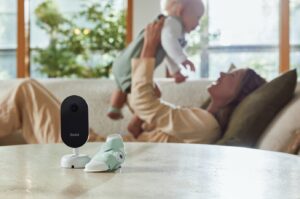 owlet marketing new camera