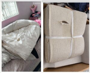 Criminals try Generative AI for Return Fraud at Boll & Branch