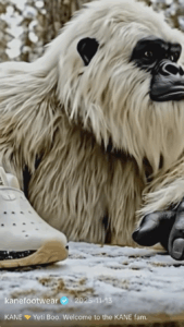 Yeti Boo for KANE Footwear